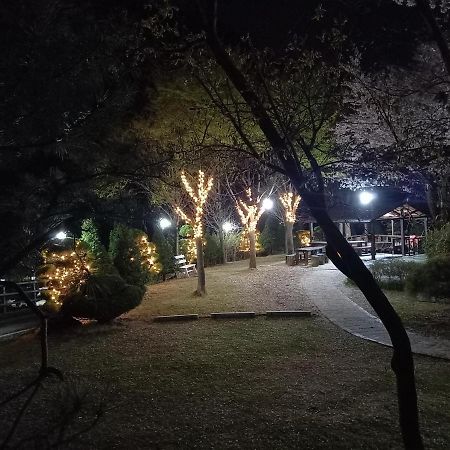 Chamjoeun Pension Chech'ŏn Esterno foto