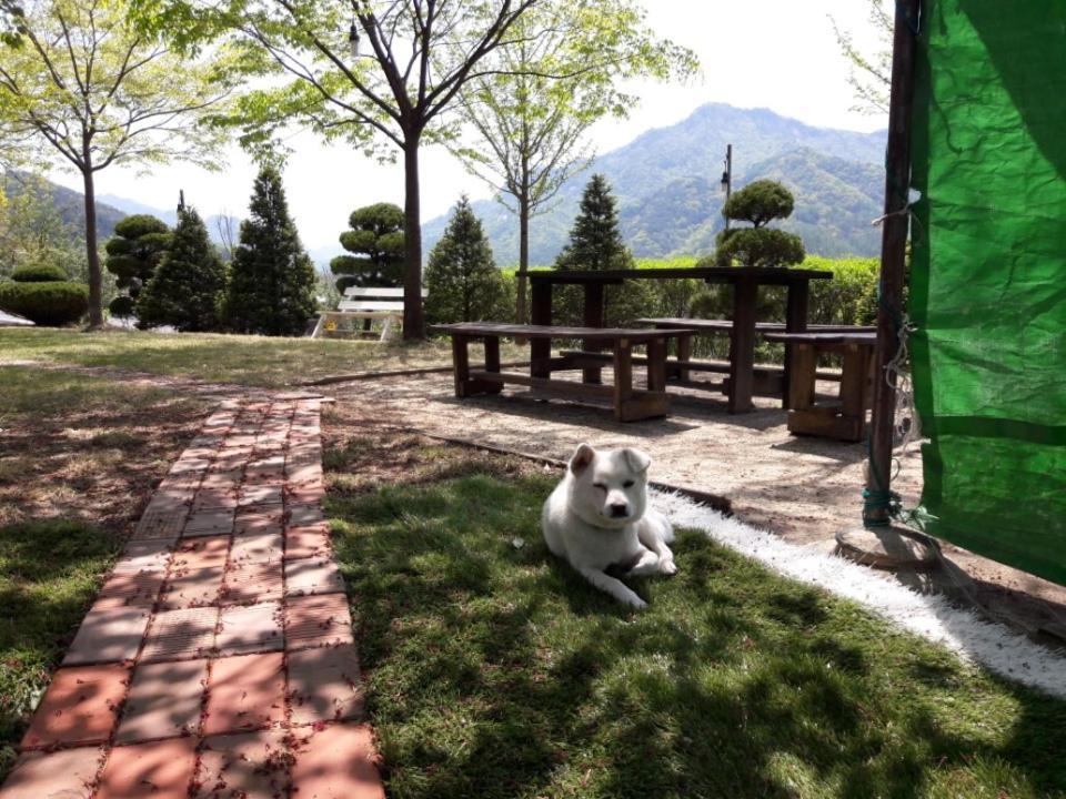 Chamjoeun Pension Chech'ŏn Esterno foto