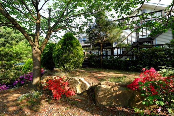 Chamjoeun Pension Chech'ŏn Esterno foto